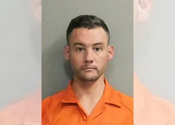 Alabama Education Department employee charged with sexually abusing young child