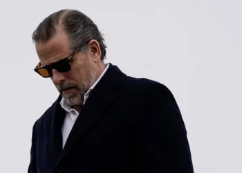 Hunter Biden’s gallery sold first son’s artwork to major Dem donor appointed to prestigious commission: Report