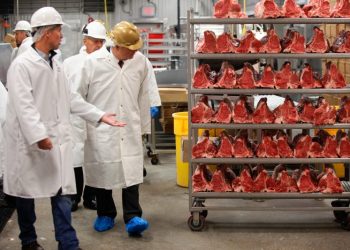 Watchdog finds repeated ‘missed opportunities’ to protect meat workers