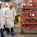 Watchdog finds repeated ‘missed opportunities’ to protect meat workers