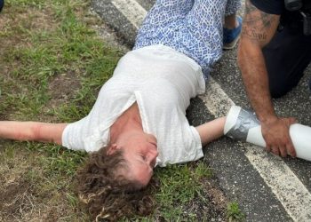 Disney heiress arrested protesting private jets in ritzy New York community