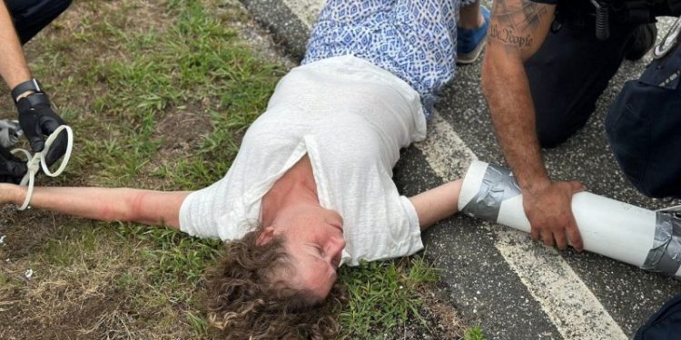 Disney heiress arrested protesting private jets in ritzy New York community