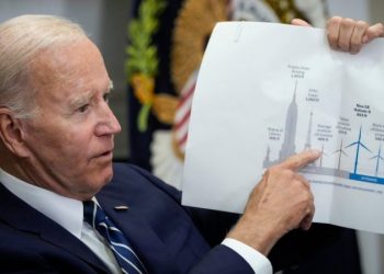 Biden admin approves massive wind farm amid rising whale death toll