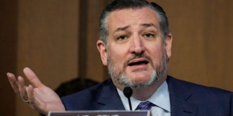 Cruz shoots down Schumer effort to regulate AI: ‘More harm than good’