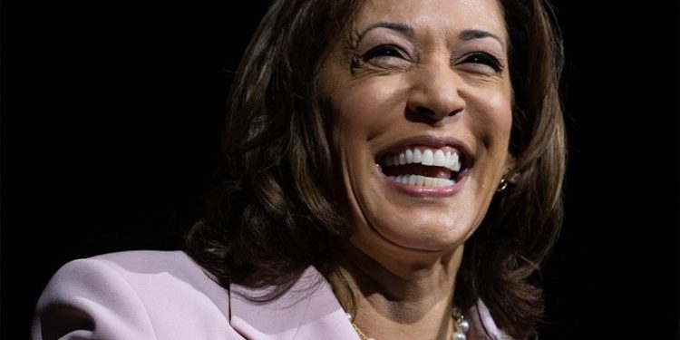 VP Harris appears to commit another gaffe in climate change speech