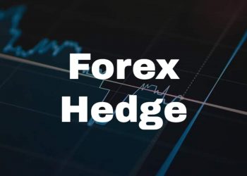 Forex Hedge: How to Hedge Currency Risk