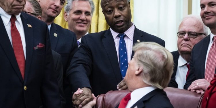 The top 10 Republican presidential candidates for 2024, ranked