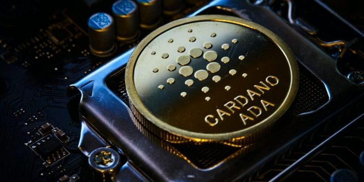 Solana and Cardano: Cardano goes up to 0.280 yesterday