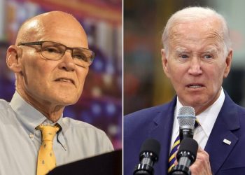 Dem strategists insist Biden ‘is a nice person’ despite ‘no comment’ on Hawaii fire: ‘Words don’t matter’