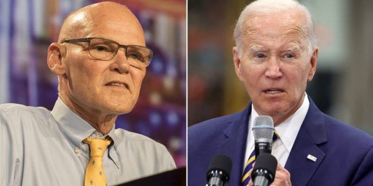 Dem strategists insist Biden ‘is a nice person’ despite ‘no comment’ on Hawaii fire: ‘Words don’t matter’