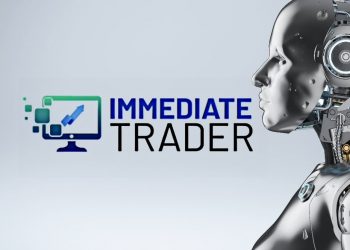 Unveiling the Dynamics of Immediate Trader