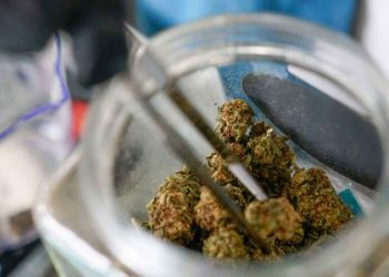 Bipartisan bill would allow people who consumed marijuana to gain federal employment