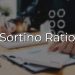 Sortino Ratio: explanation and practical application