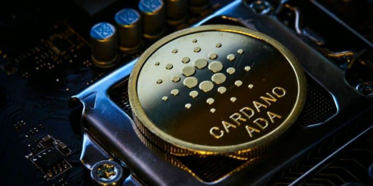 Solana and Cardano: Cardano finds support at the 0.250