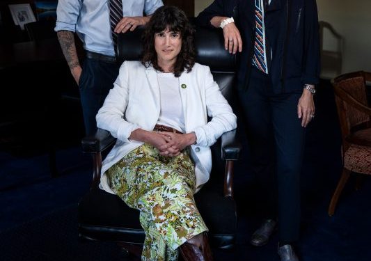 Dwindling Blue Dog Democrats look to stage a comeback for moderates