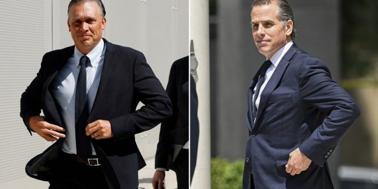 Devon Archer: Hunter Biden, Burisma execs ‘called DC’ to get Ukrainian prosecutor fired