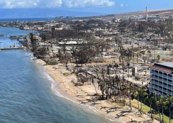 Hawaii Gov Josh Green says ‘very real’ global warming caused conditions for deadly wildfire