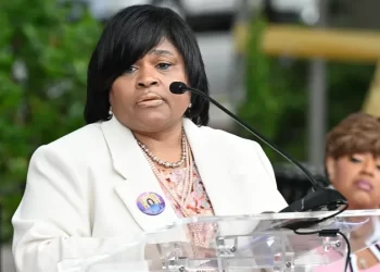 Minyon Moore, former Black Lives Matter board member, announced as DNC convention chair