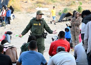 Border Patrol union head says reported Biden plan to keep migrants in Texas won’t help agents: ‘More rhetoric’