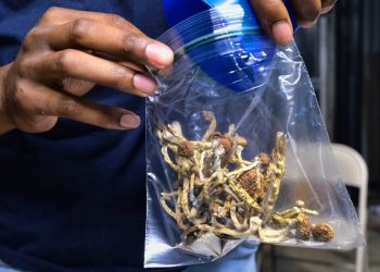 California bill decriminalizing personal use of psychedelics, magic mushrooms heads to Newsom’s desk