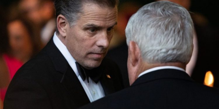 Hunter Biden sues IRS over disclosures