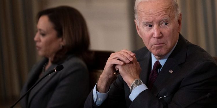 Democrat concerns about Biden’s age, Harris’ poll numbers mounting in recent weeks: ‘Painful to say’