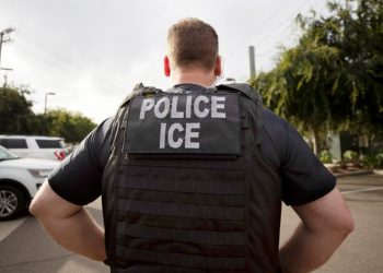 ICE can’t keep up with complex money laundering schemes, watchdog warns