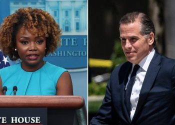 WATCH: White House addresses possibility of pardoning Hunter Biden for first time since federal indictment