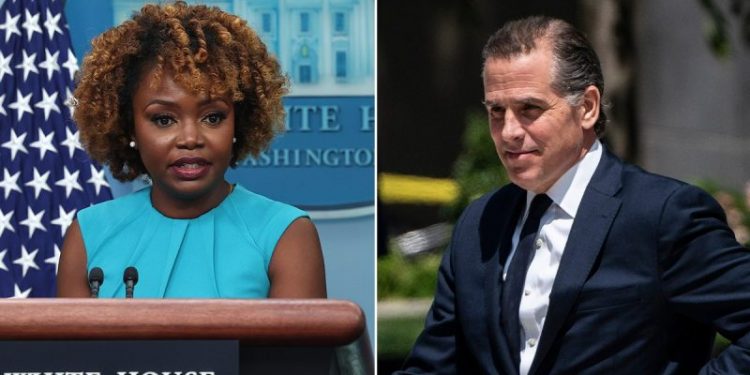 WATCH: White House addresses possibility of pardoning Hunter Biden for first time since federal indictment