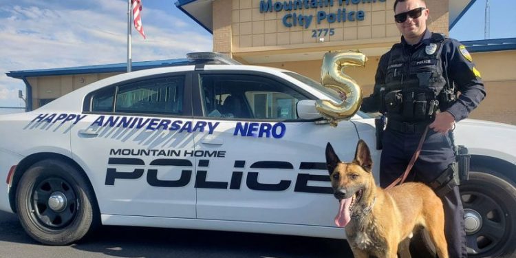 Supreme Court asked to decide if police dog committed an illegal search by putting paws on car