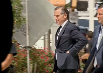 Hunter Biden request to appear in court by video rejected by judge