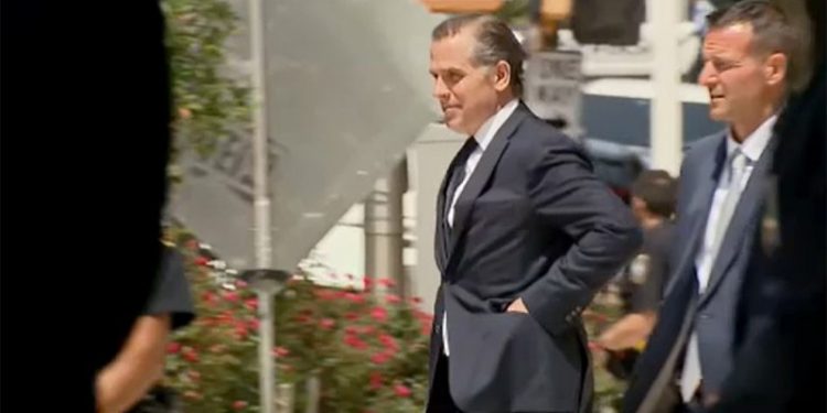 Hunter Biden request to appear in court by video rejected by judge