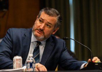 Cruz proposes life sentences for illegal aliens if Border Patrol agent is killed in pursuit