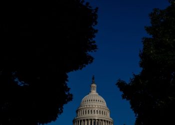 Who are the Americans who support secession?