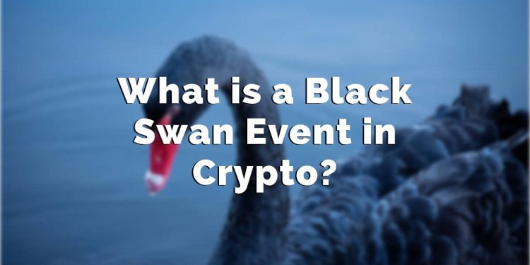What is a Black Swan Event in Crypto – Get The Information