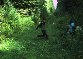 Northern border sees migrant surge from dozens of countries; more than last 10 years combined