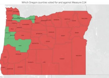 America’s ‘most extreme’ gun control law heads to court