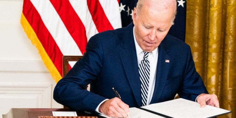 Biden supporters launch New Hampshire write-in campaign after president forgoes ballot