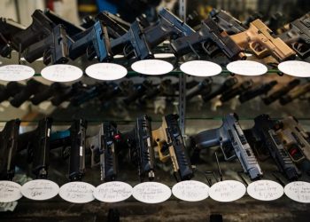 The loophole in efforts to block gun sales to the mentally ill