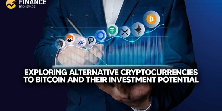 What are altcoins and their investment potential?