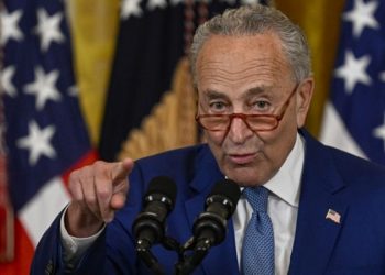 Schumer responds to calls for Trump to be speaker of House: ‘No thanks, we’re good’