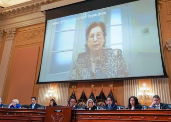 What could Sidney Powell testify to now that she’s pleaded guilty?