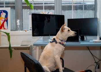 Ain’t no rule saying a dog can’t be speaker of the House