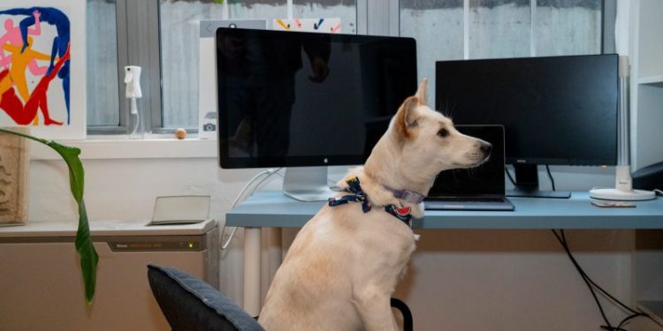 Ain’t no rule saying a dog can’t be speaker of the House