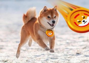 Dogecoin and Shiba Inu: Dogecoin is testing 0.06500 level