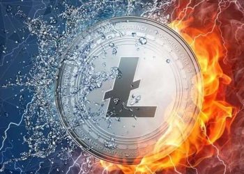 Litecoin’s Metrics: A Glimpse into LTC’s Technical Landscape