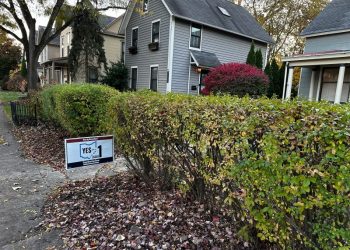 Abortion access remains undefeated in the polls post-Roe