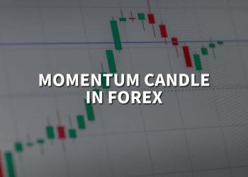What is a momentum candle in Forex?