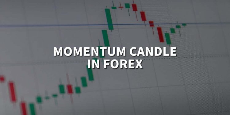 What is a momentum candle in Forex?
