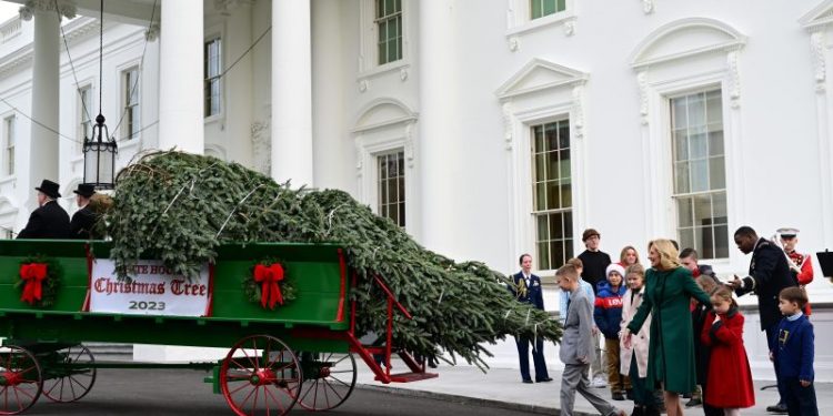 Picking the White House Christmas tree is all about height, sight and light
